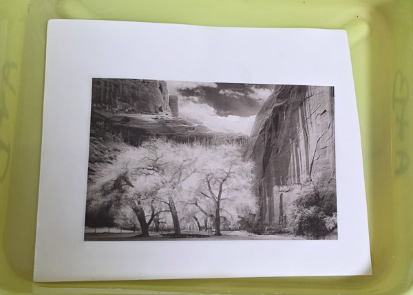 Platinum-Paladium prints